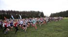 Start of the under-13 girls Northern Cross Country Champs, Knowsley Safari Park. Photo: David T. Hewitson/Sports for All Pics